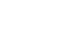 RizoliqLLI